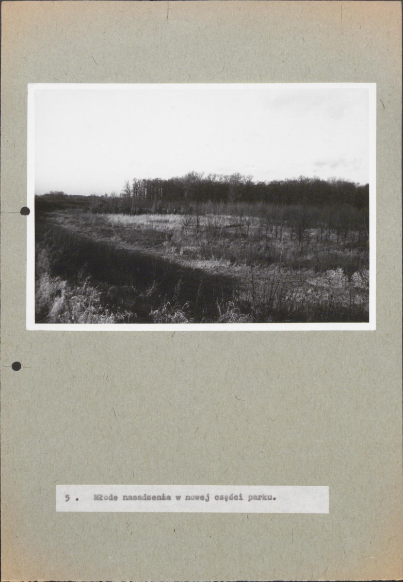 EP - Ewidencja parkowa, skan nr 64