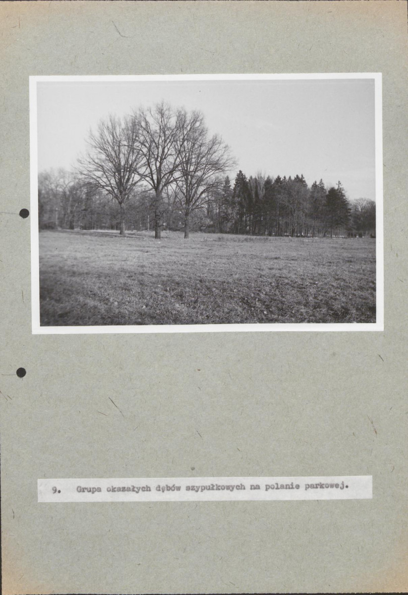 EP - Ewidencja parkowa, skan nr 69