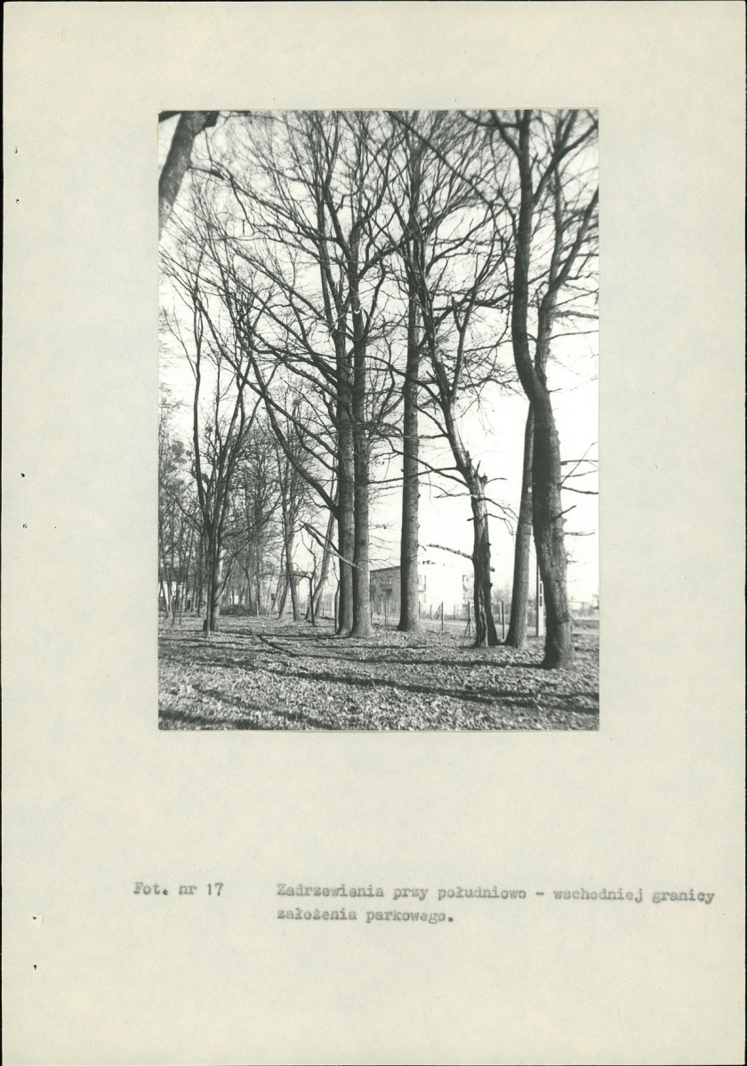 EP - Ewidencja parkowa, skan nr 64