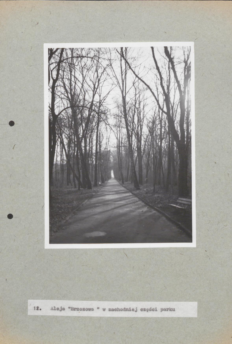 EP - Ewidencja parkowa, skan nr 71