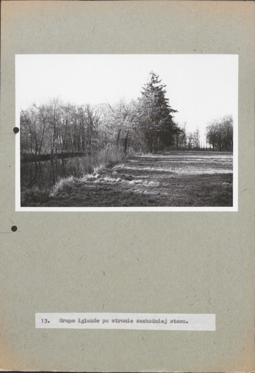 EP - Ewidencja parkowa, skan nr 73