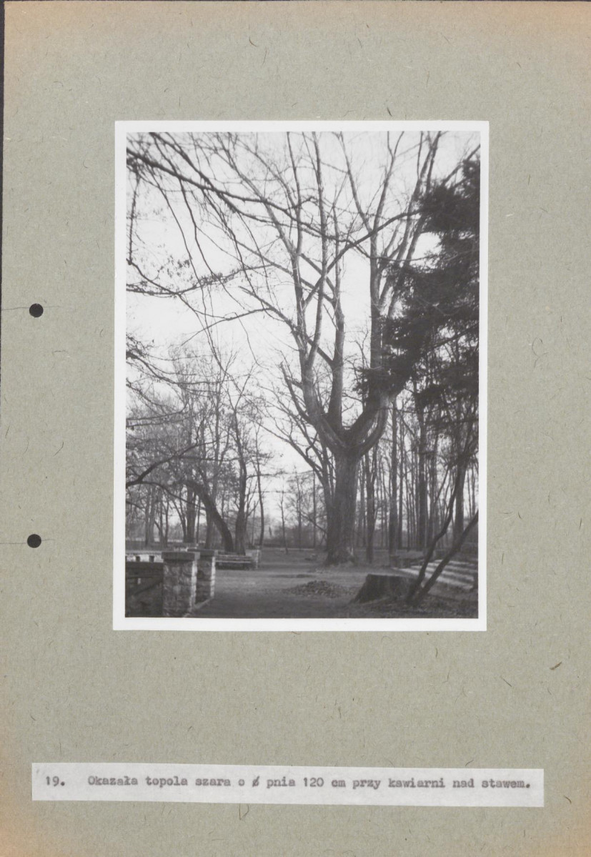 EP - Ewidencja parkowa, skan nr 79