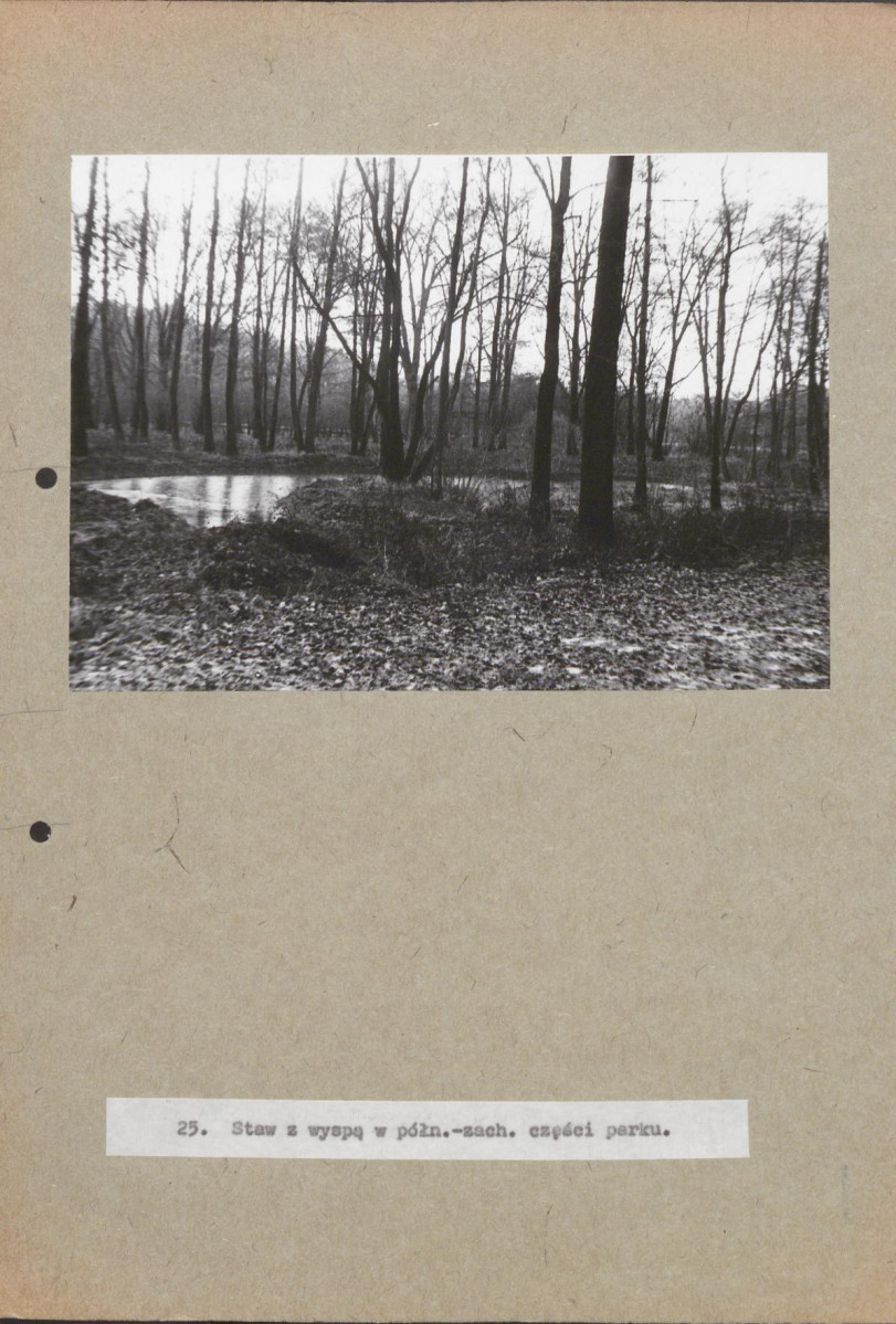 EP - Ewidencja parkowa, skan nr 85