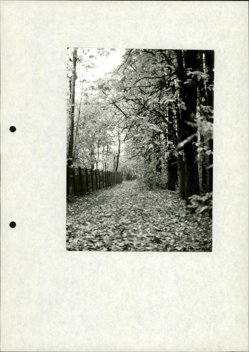 EP - Ewidencja parkowa, skan nr 23