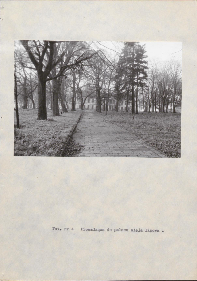 EP - Ewidencja parkowa, skan nr 38