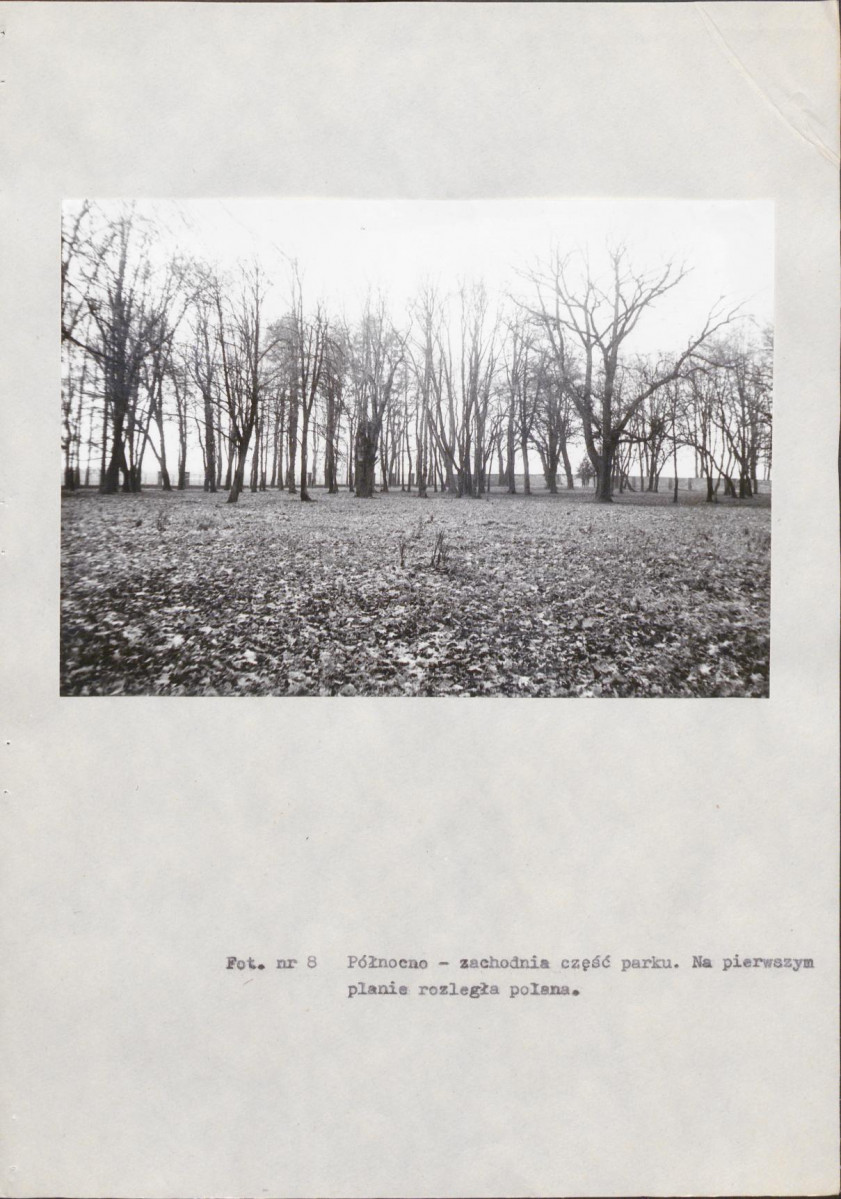 EP - Ewidencja parkowa, skan nr 42