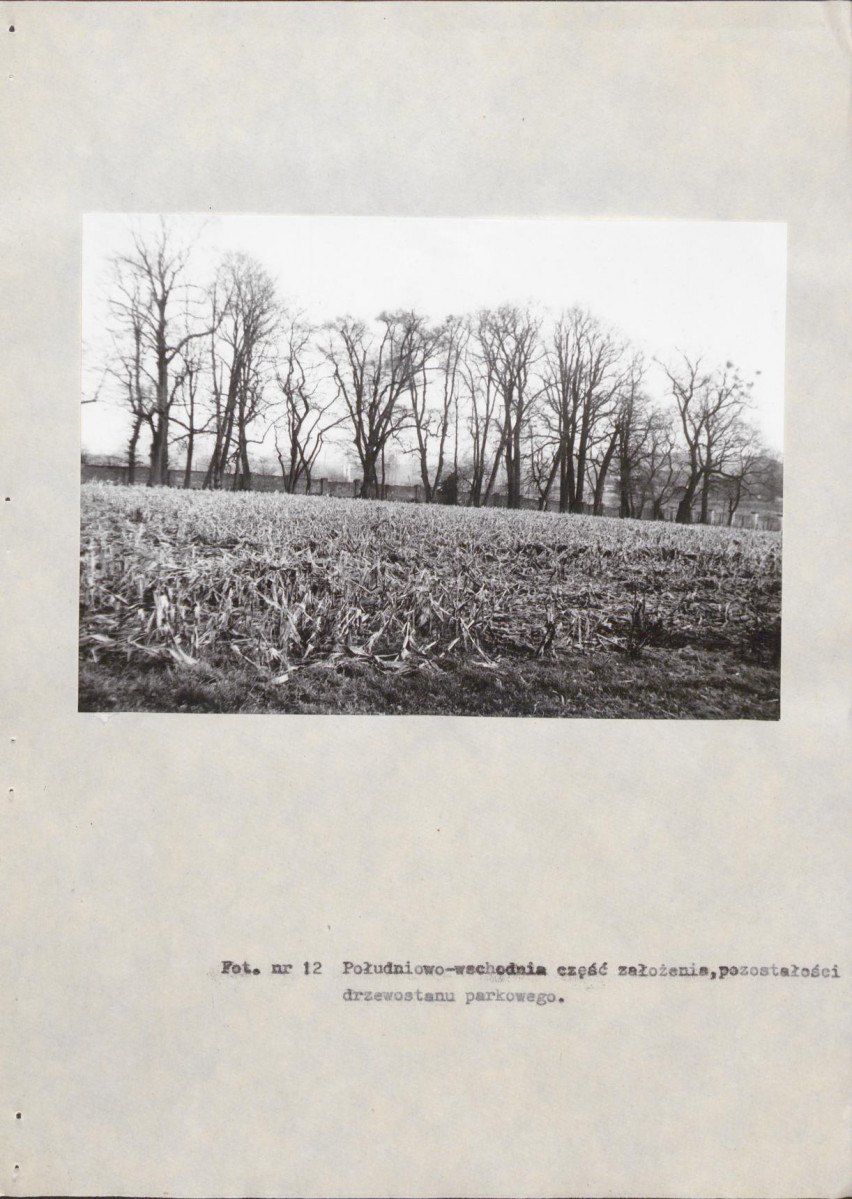 EP - Ewidencja parkowa, skan nr 46