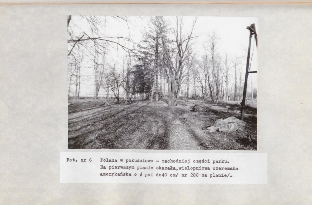 Ewidencja parkowa, skan nr 48