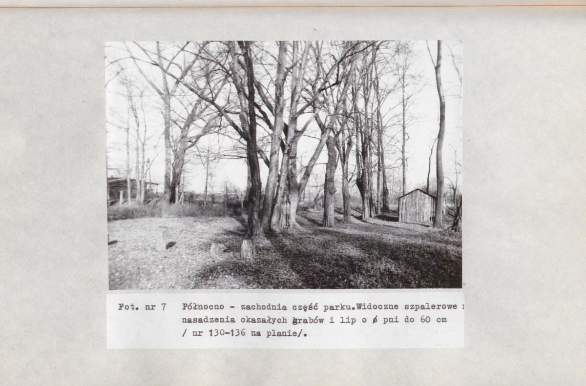 Ewidencja parkowa, skan nr 49
