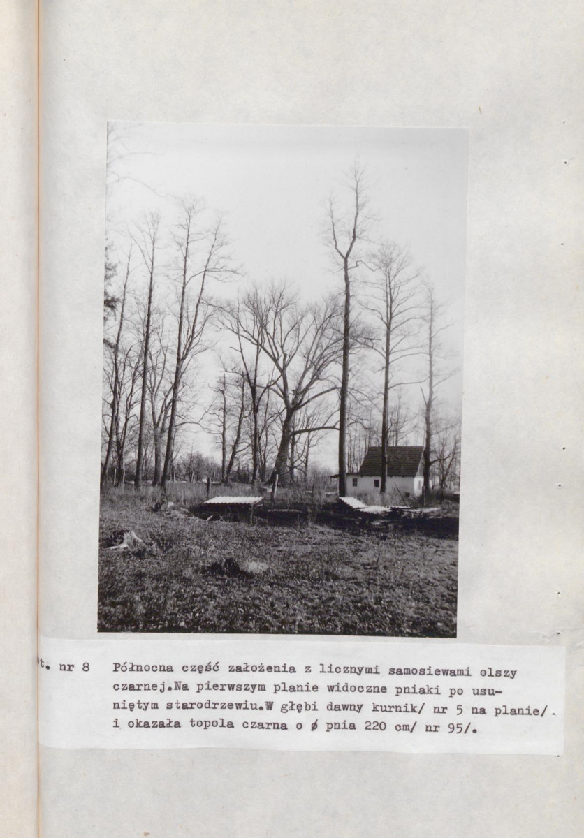 Ewidencja parkowa, skan nr 50