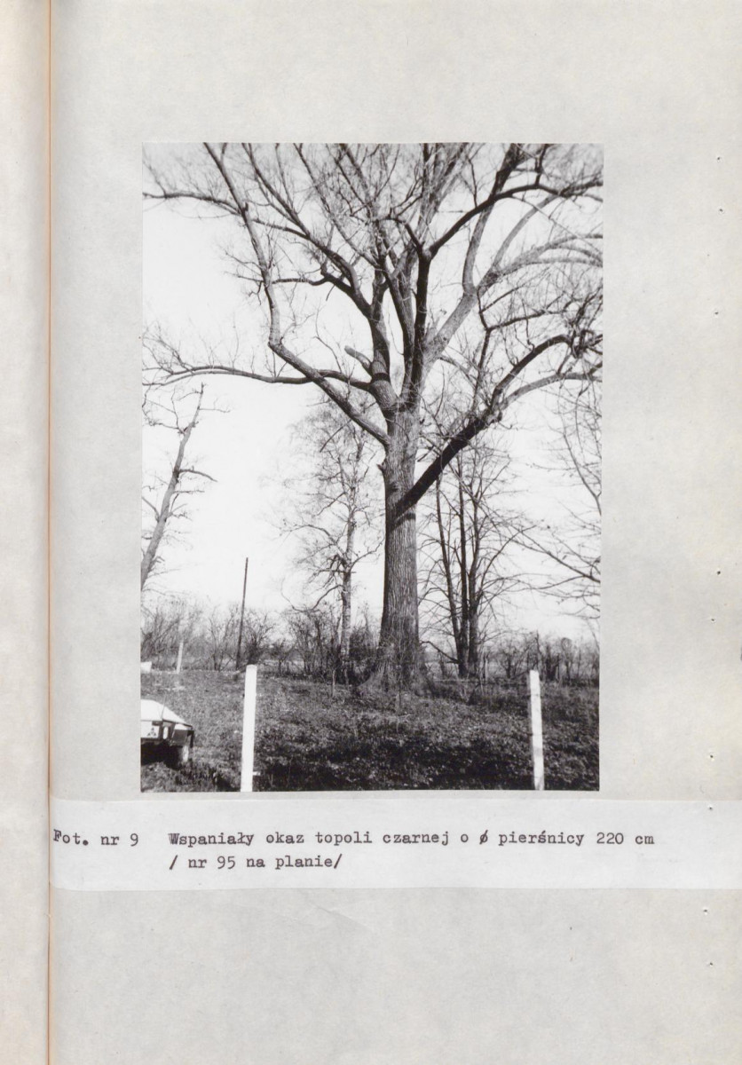 Ewidencja parkowa, skan nr 51