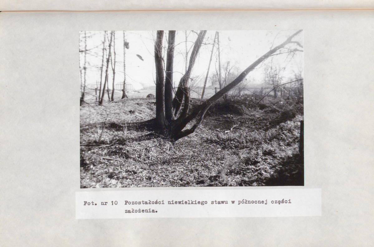 Ewidencja parkowa, skan nr 52