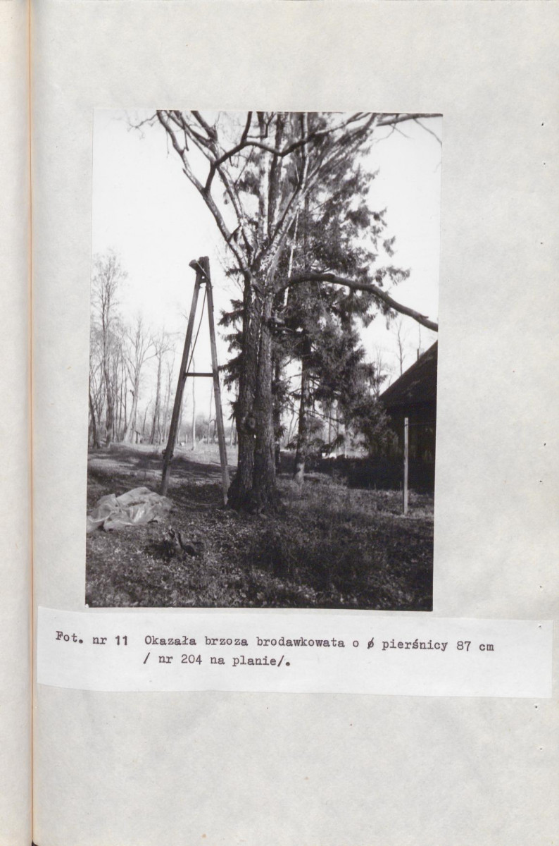 Ewidencja parkowa, skan nr 53