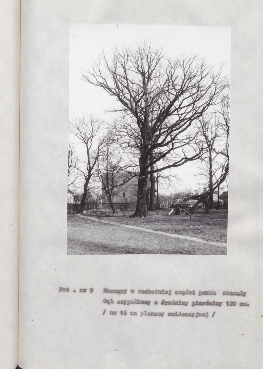EP - Ewidencja parkowa, skan nr 78