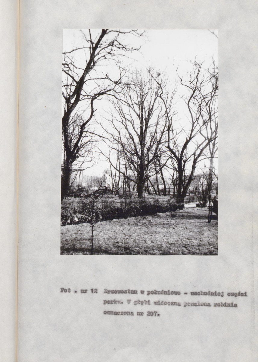 EP - Ewidencja parkowa, skan nr 81