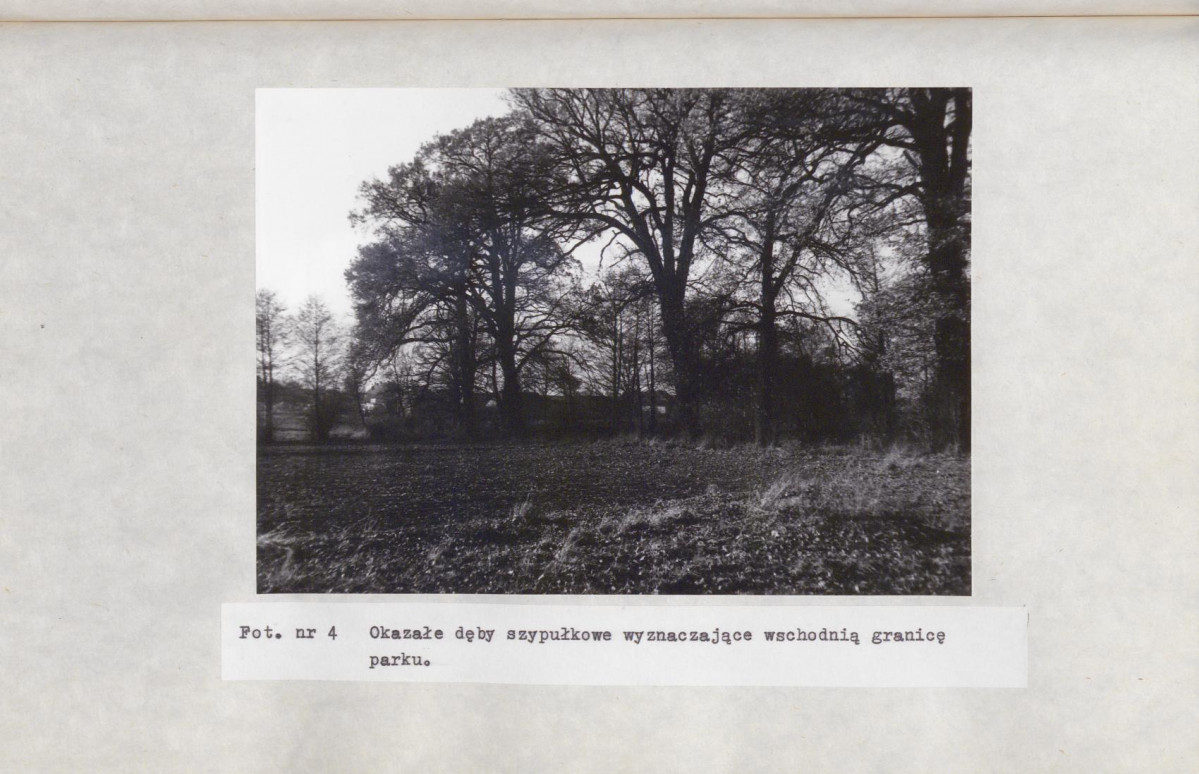 Ewidencja parkowa, skan nr 40
