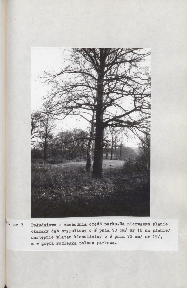 Ewidencja parkowa, skan nr 43
