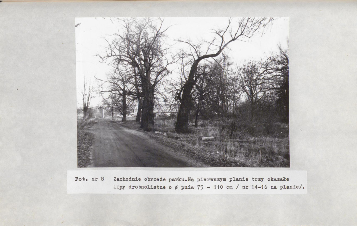 Ewidencja parkowa, skan nr 44