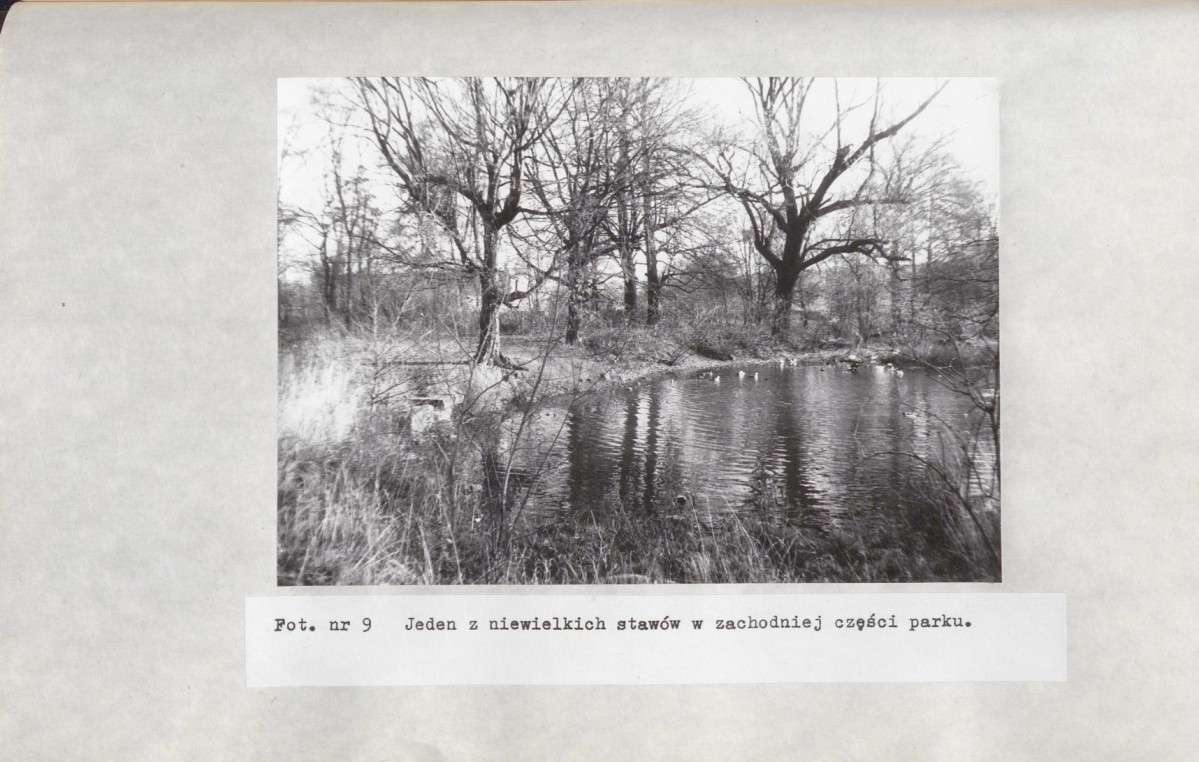 Ewidencja parkowa, skan nr 45