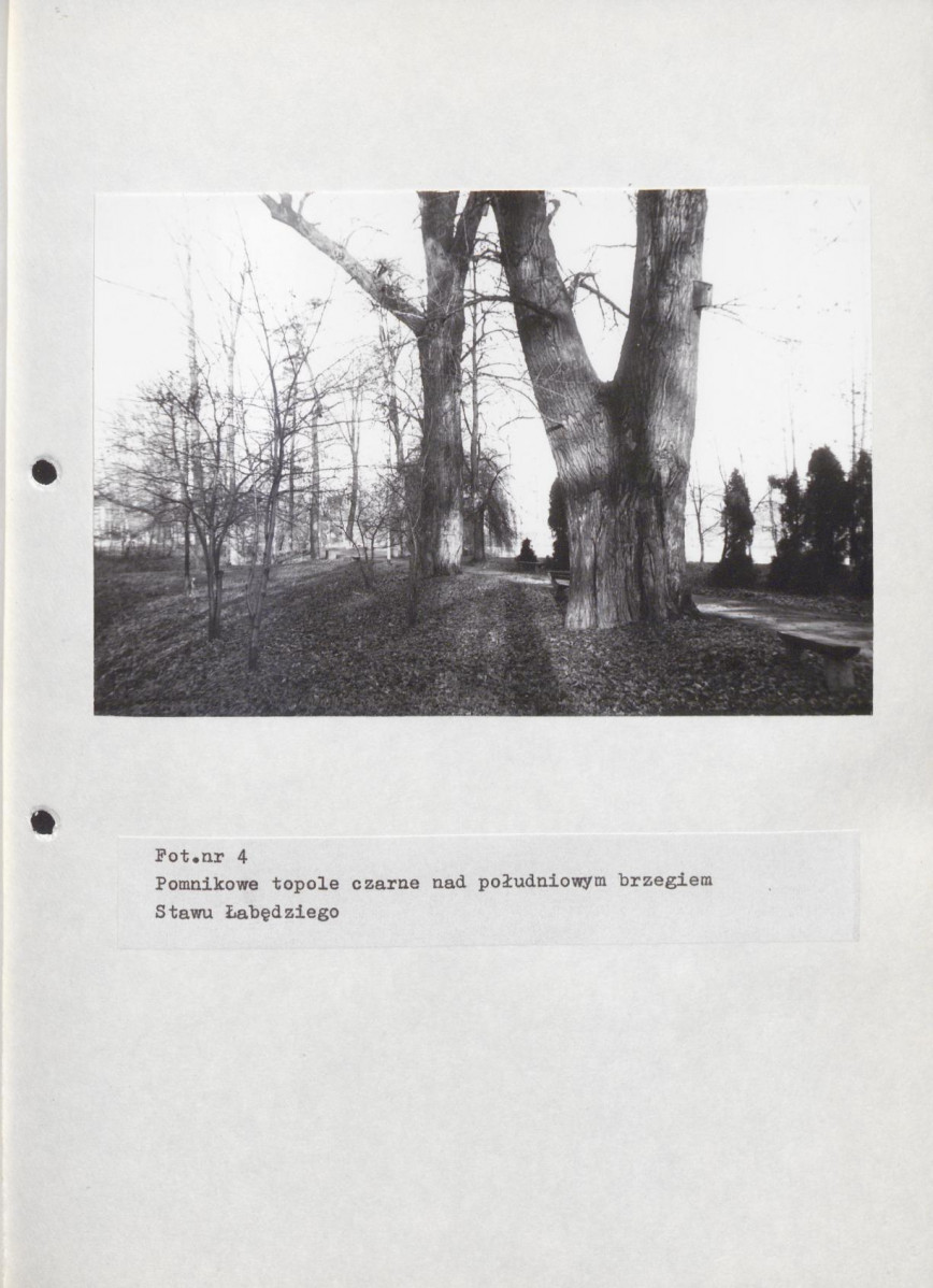 EP - Ewidencja parkowa, skan nr 46
