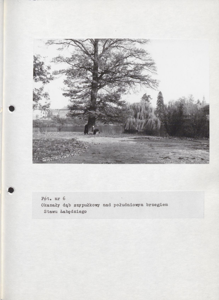 EP - Ewidencja parkowa, skan nr 48