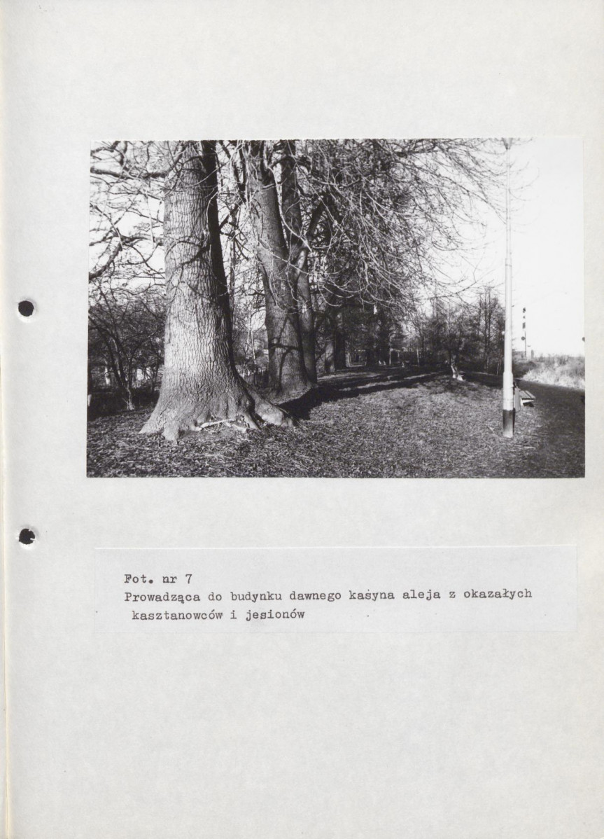 EP - Ewidencja parkowa, skan nr 49