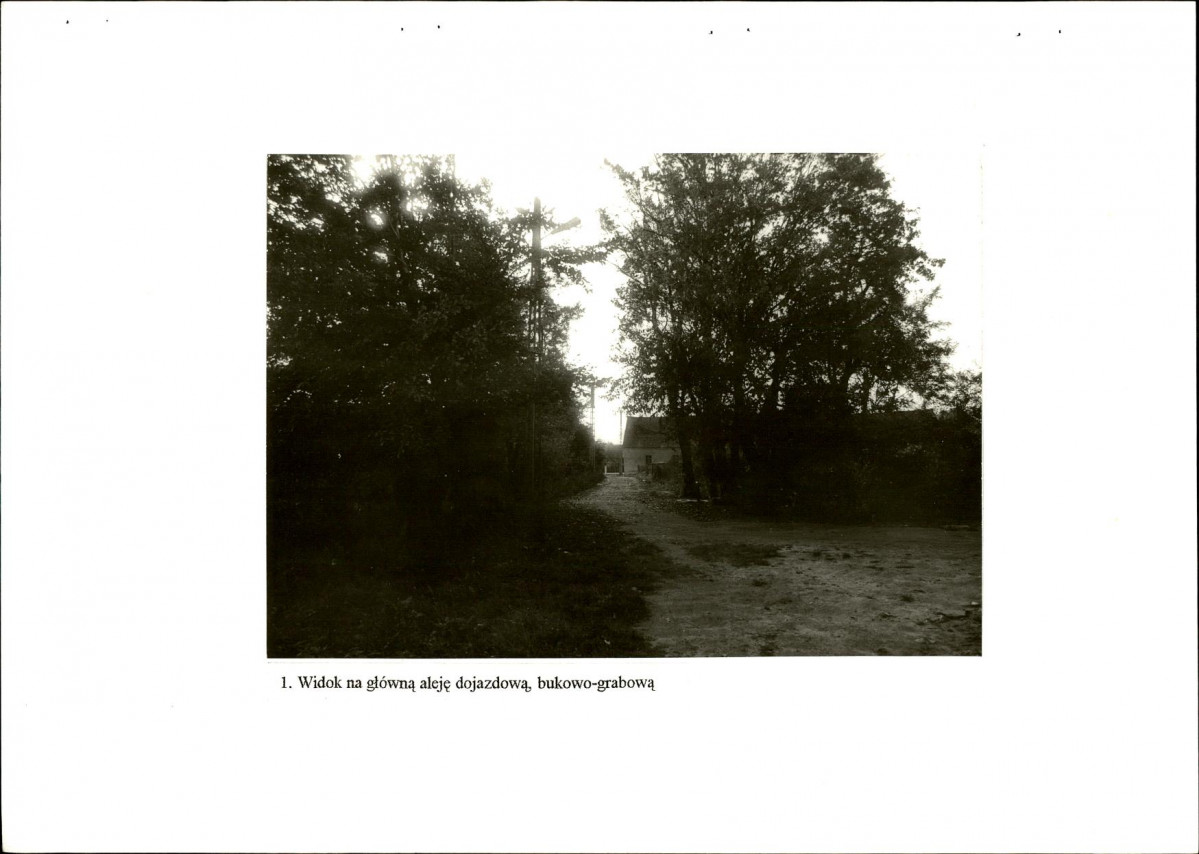 Ewidencja parkowa, skan nr 29