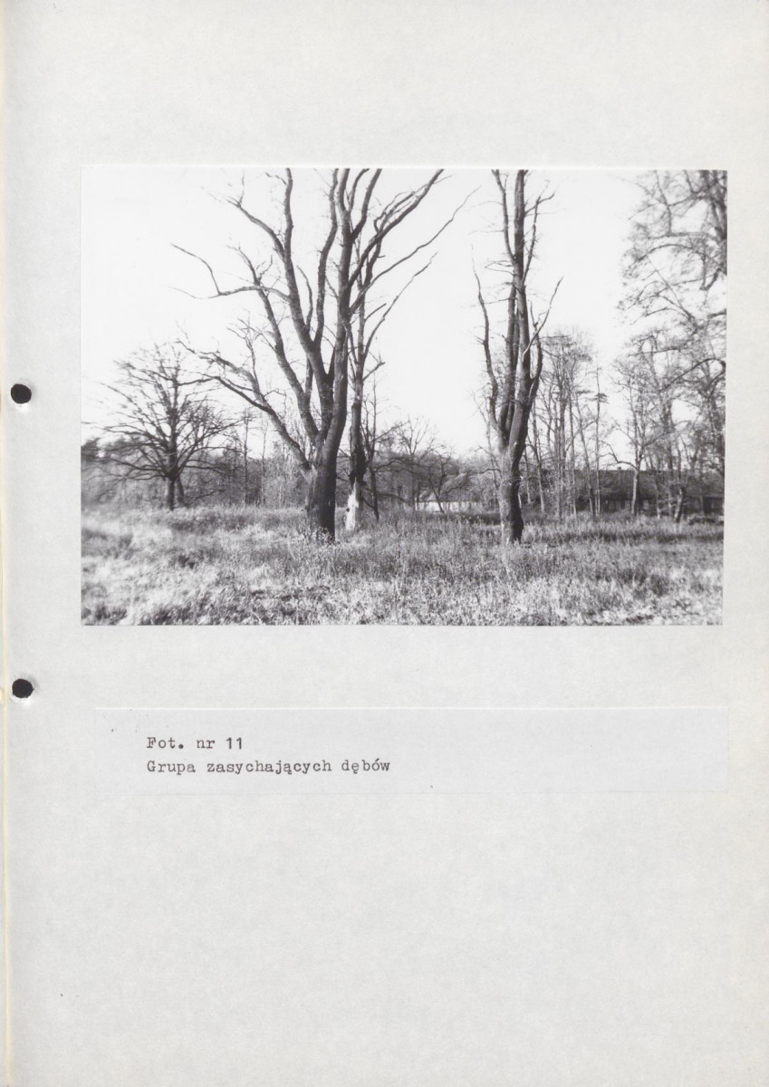 EP - Ewidencja parkowa, skan nr 53