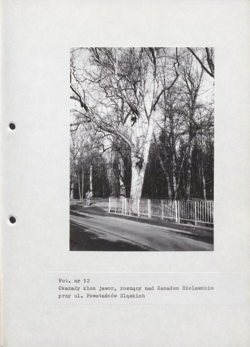 EP - Ewidencja parkowa, skan nr 54