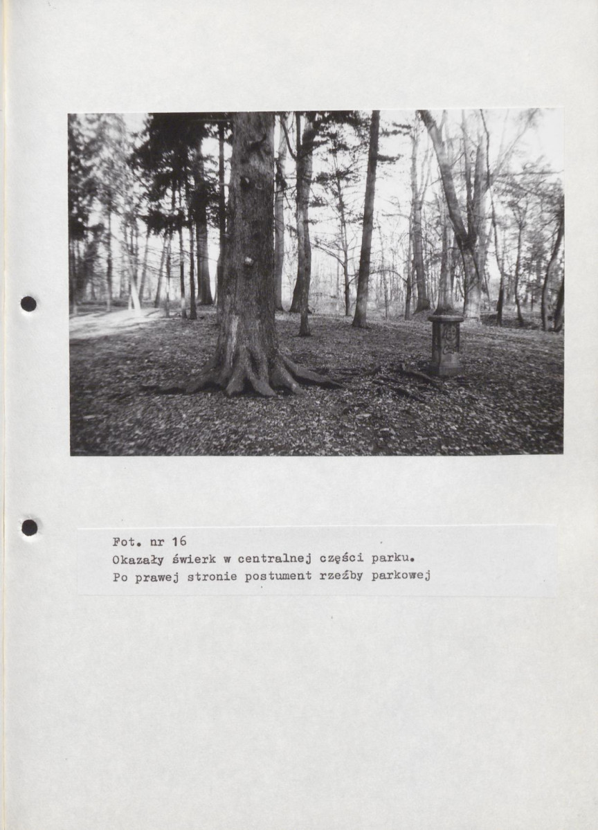 EP - Ewidencja parkowa, skan nr 58
