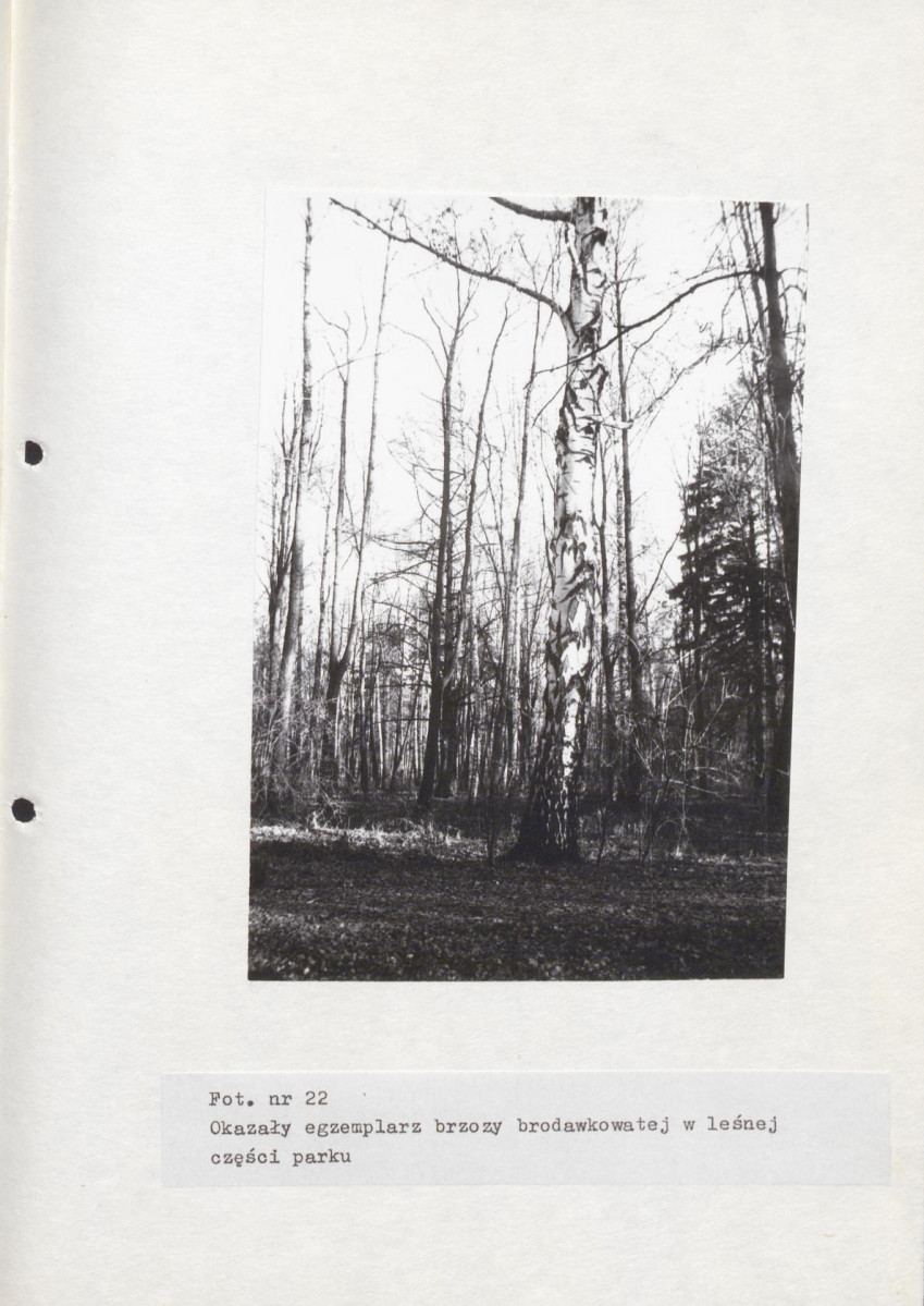 EP - Ewidencja parkowa, skan nr 64