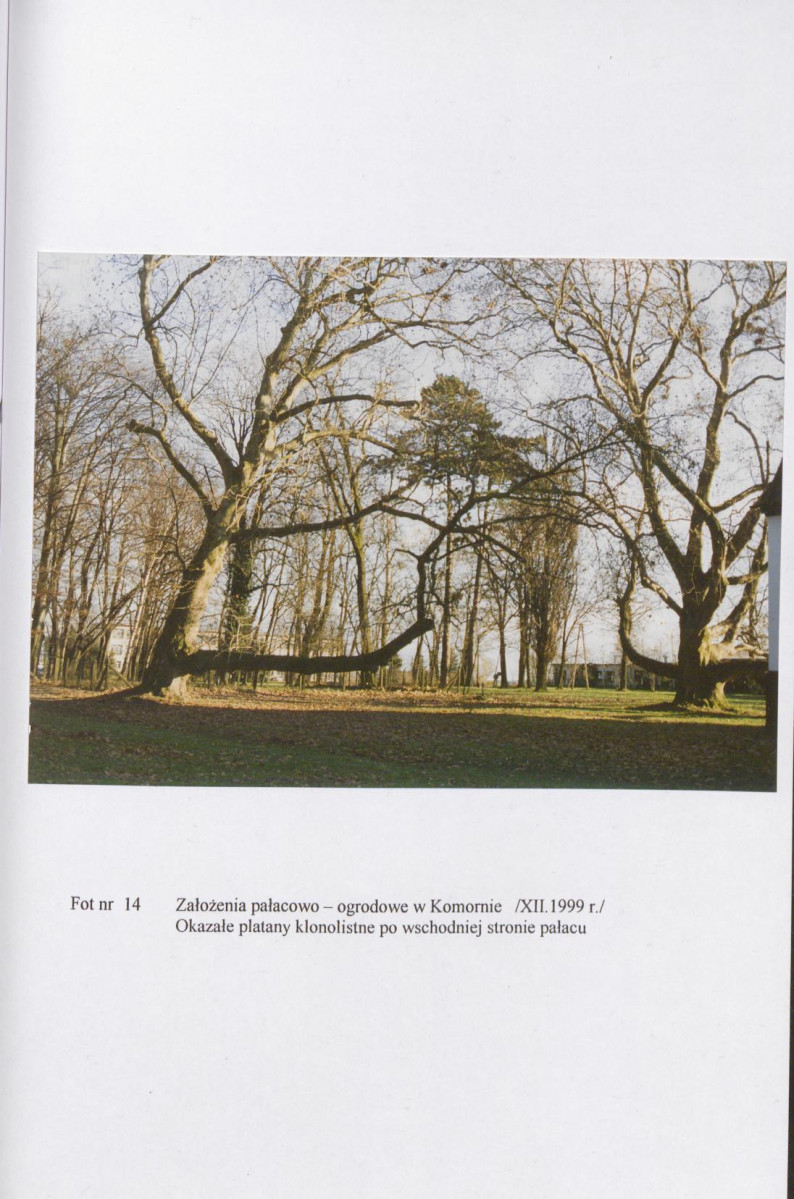 EP - Ewidencja parkowa, skan nr 52