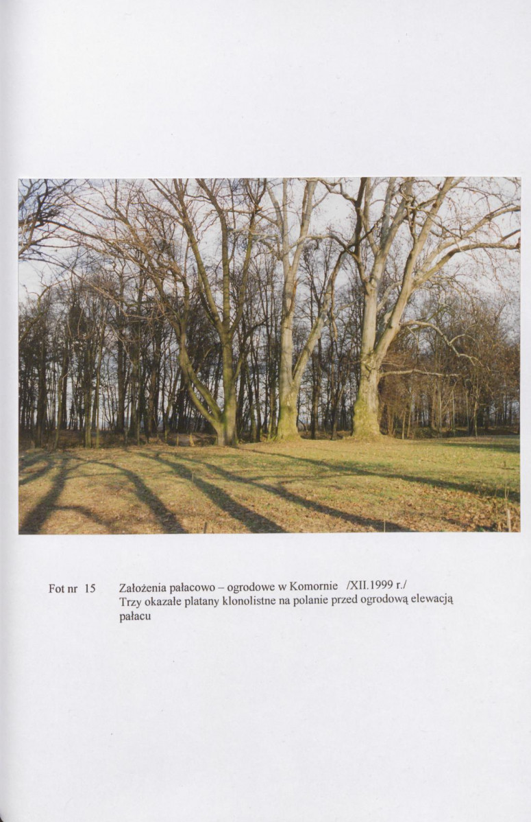 EP - Ewidencja parkowa, skan nr 53
