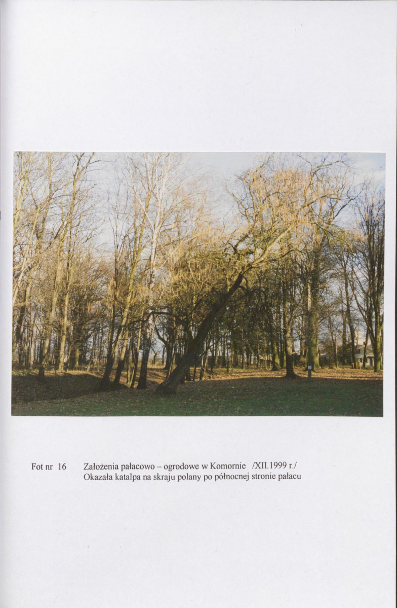 EP - Ewidencja parkowa, skan nr 54