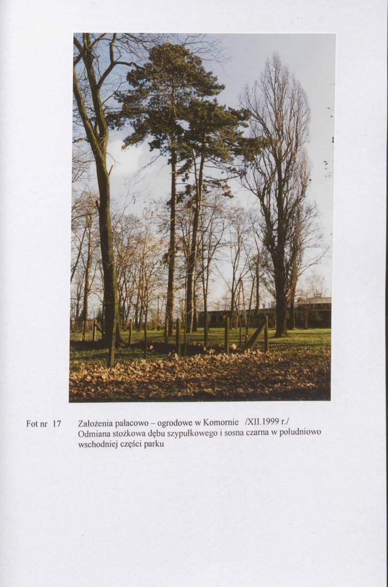 EP - Ewidencja parkowa, skan nr 55