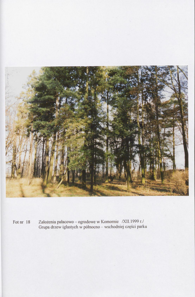EP - Ewidencja parkowa, skan nr 56