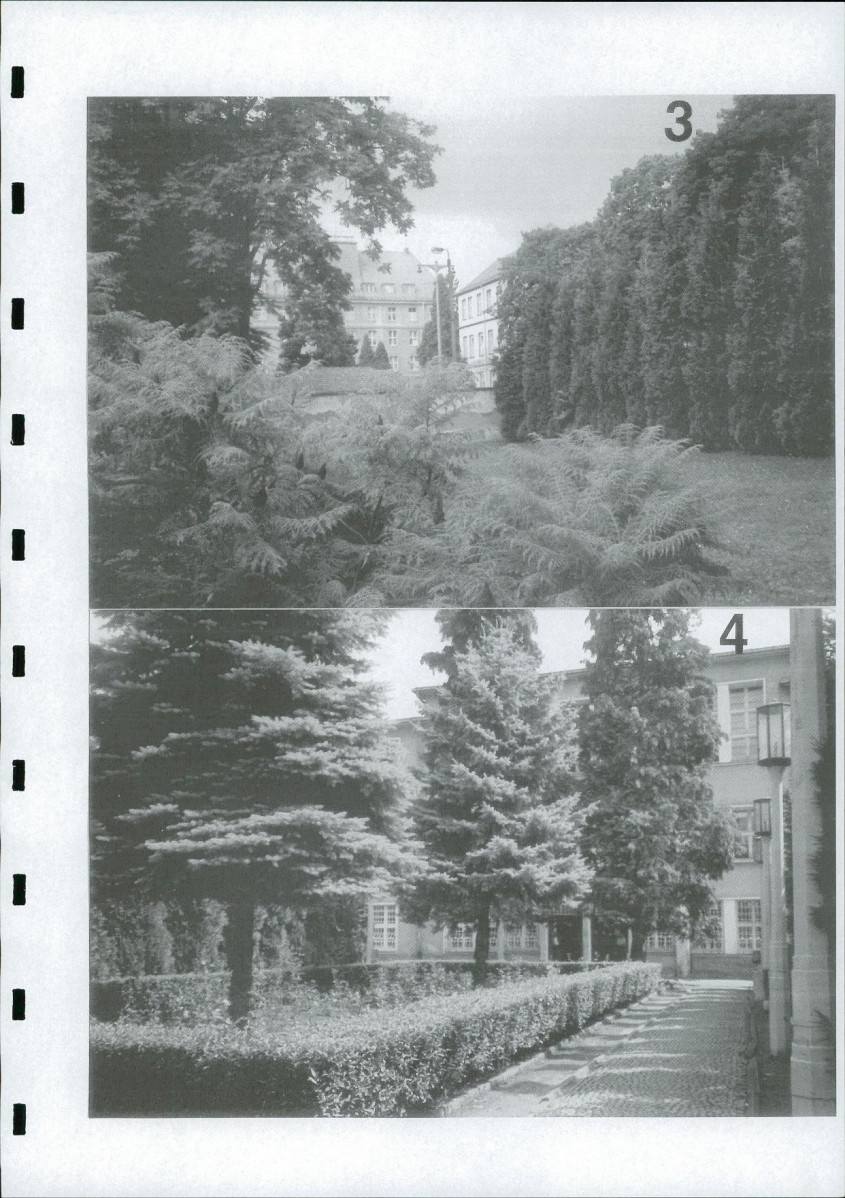 Ewidencja parkowa, skan nr 54