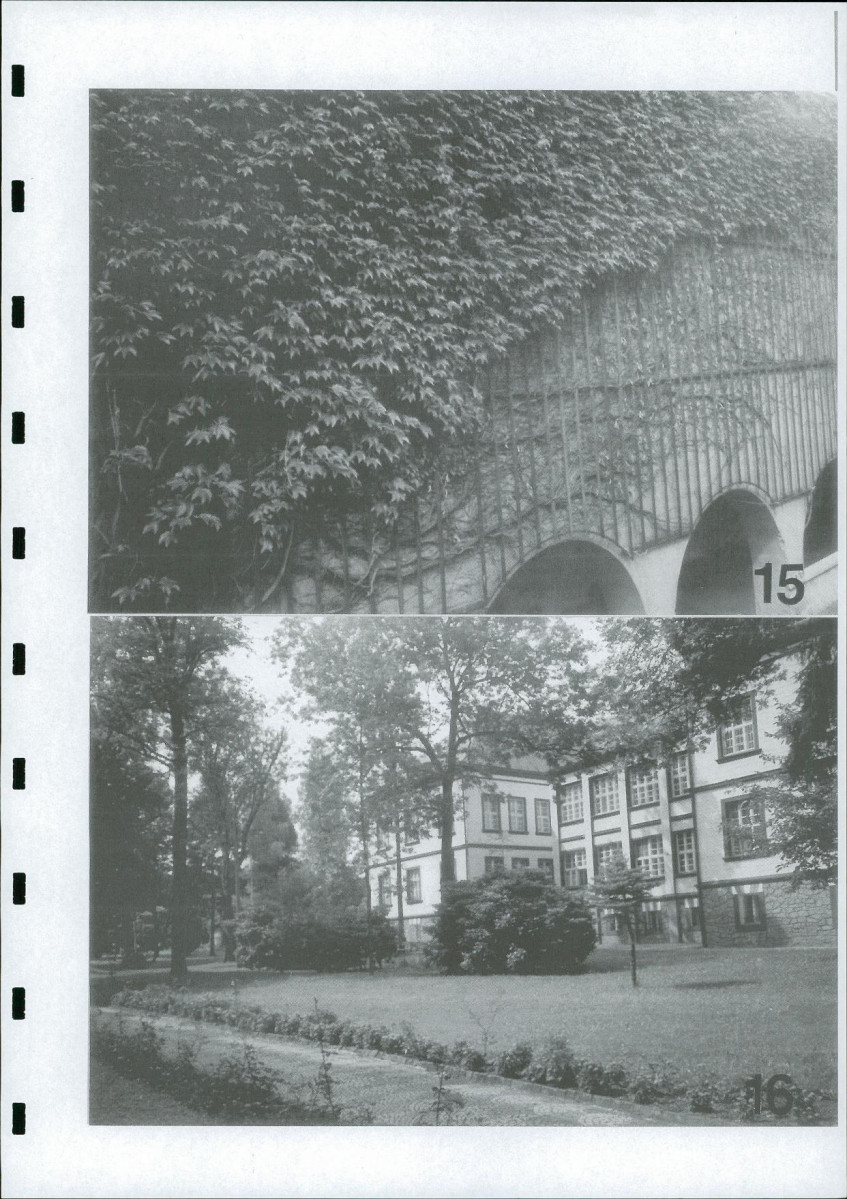 Ewidencja parkowa, skan nr 60
