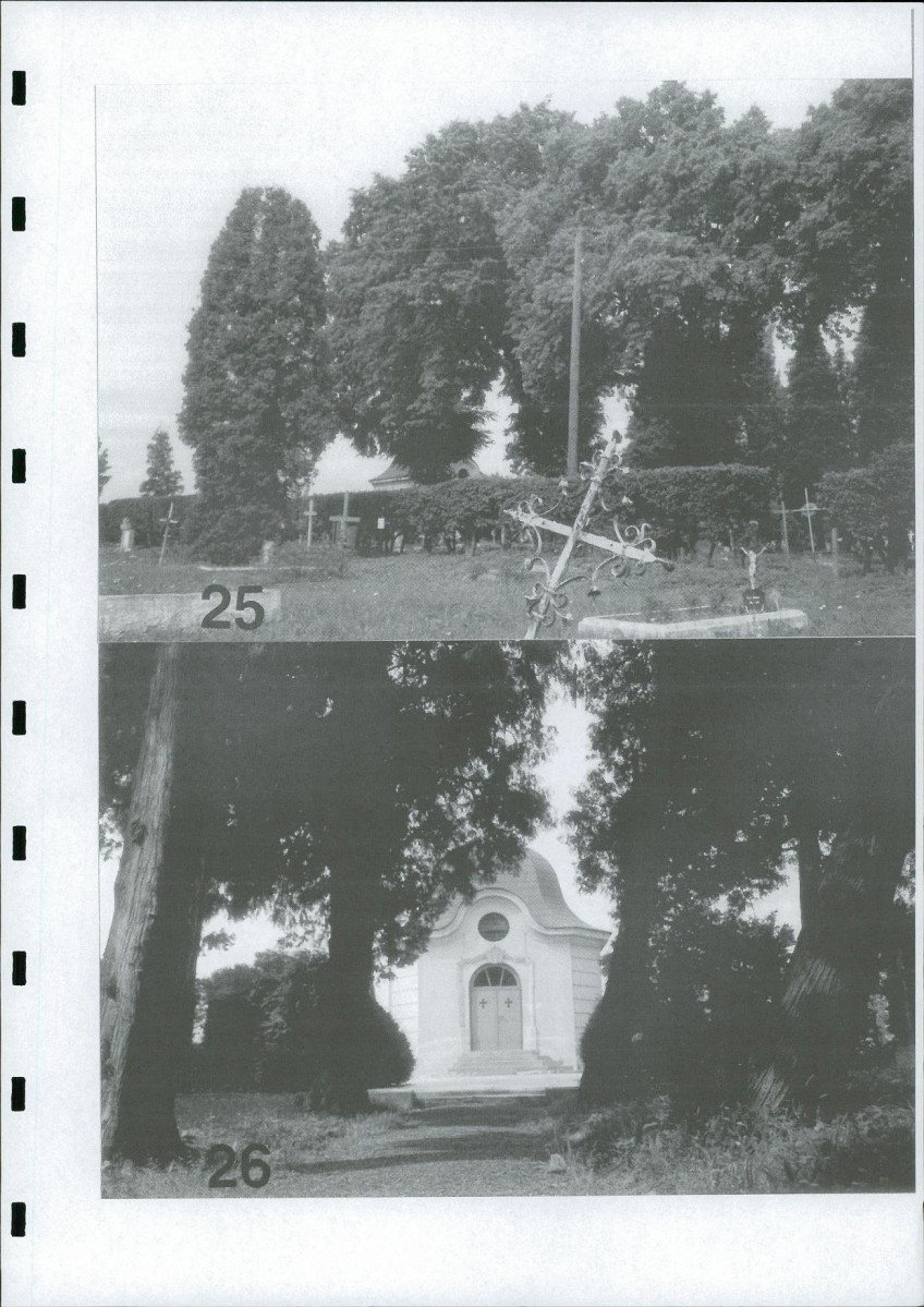 Ewidencja parkowa, skan nr 65