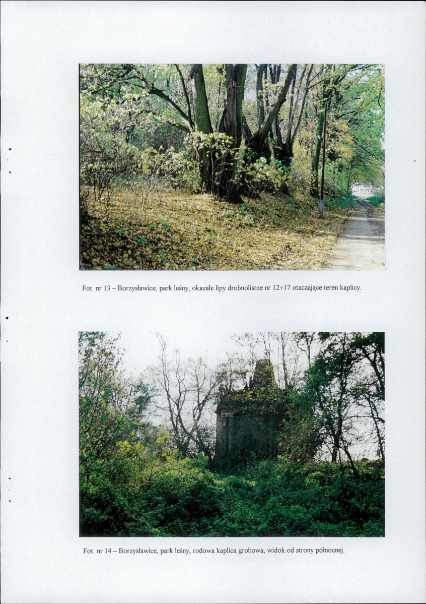EP - Ewidencja parkowa, skan nr 48
