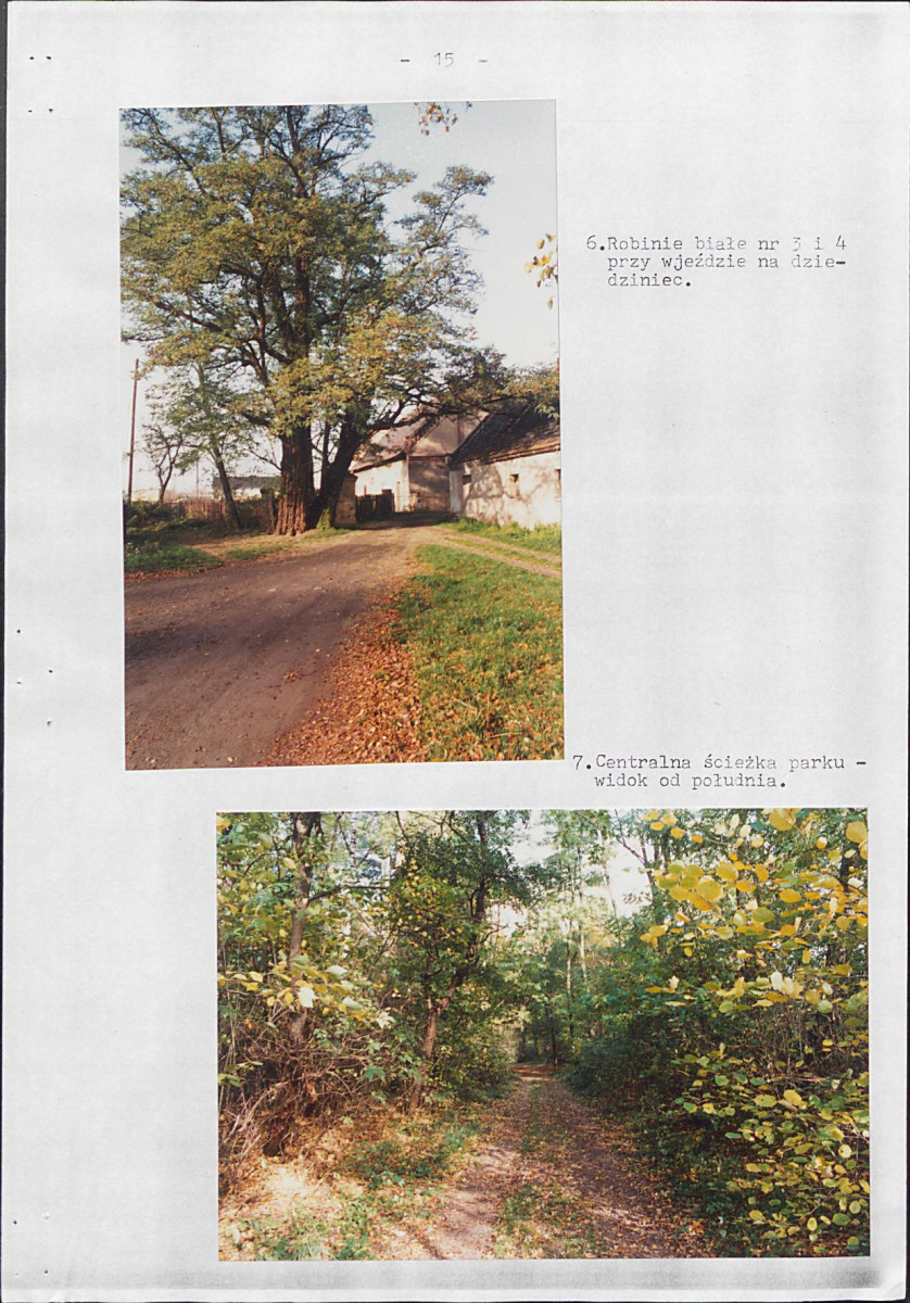 Ewidencja parkowa, skan nr 21
