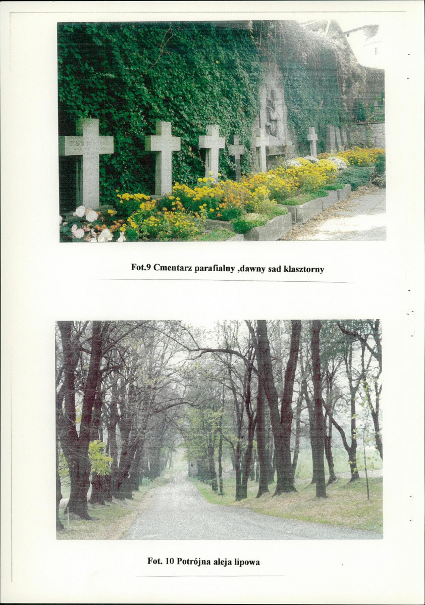 EP - Ewidencja parkowa, skan nr 42