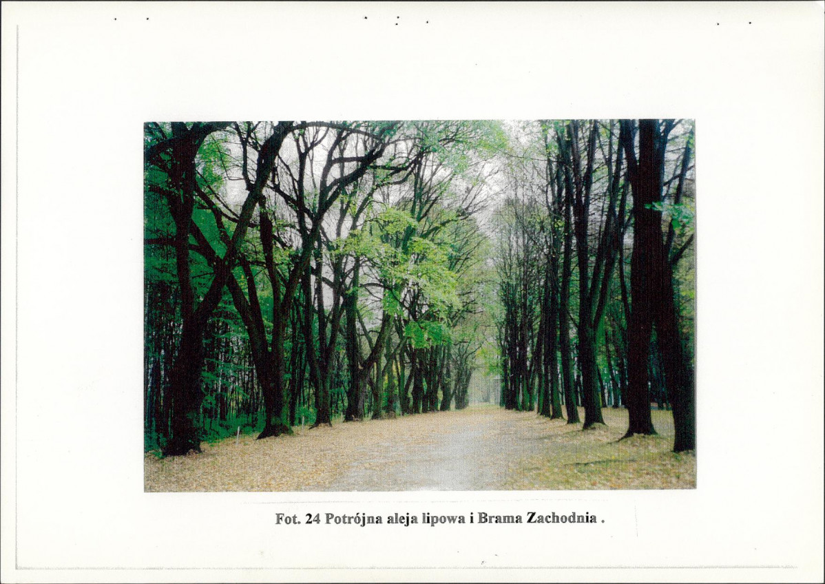 EP - Ewidencja parkowa, skan nr 51