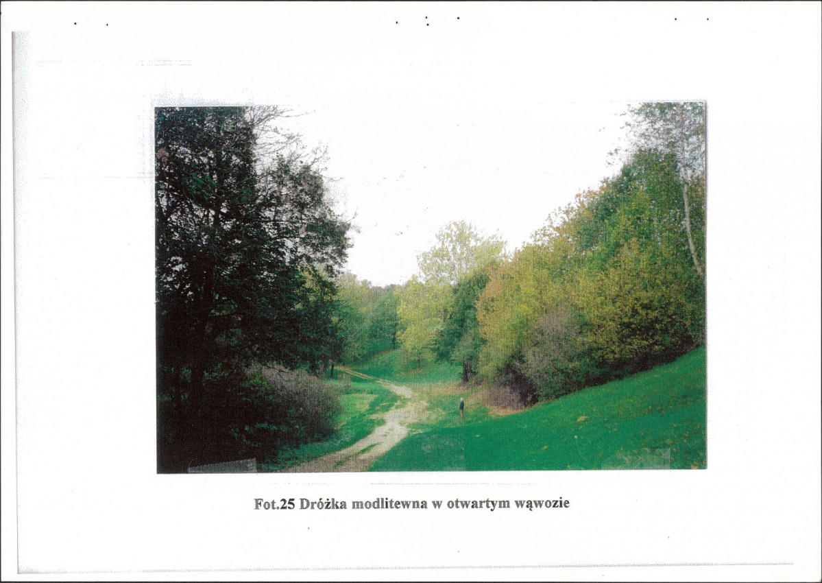 EP - Ewidencja parkowa, skan nr 52