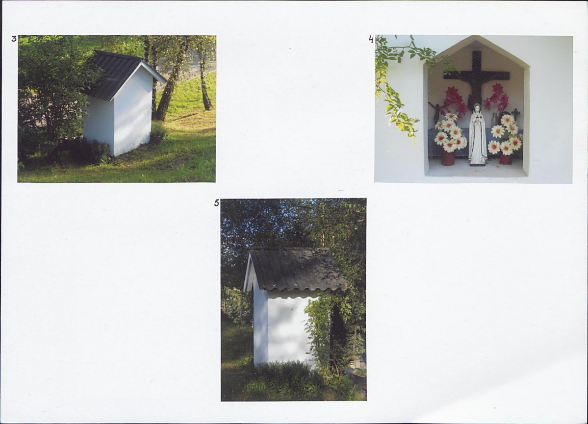 Karta biała, skan nr 6