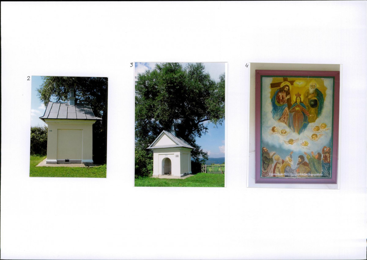 Karta biała, skan nr 6