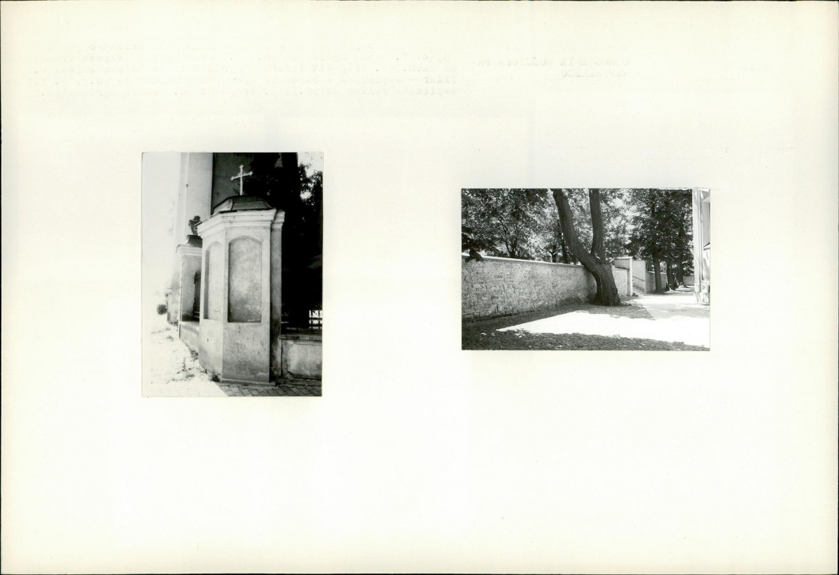 Karta biała, skan nr 6