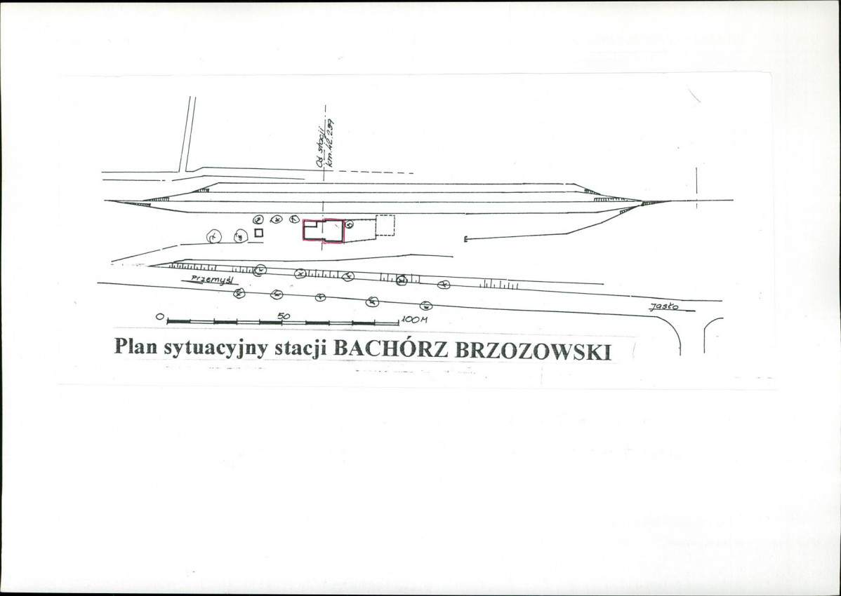 Karta biała, skan nr 6