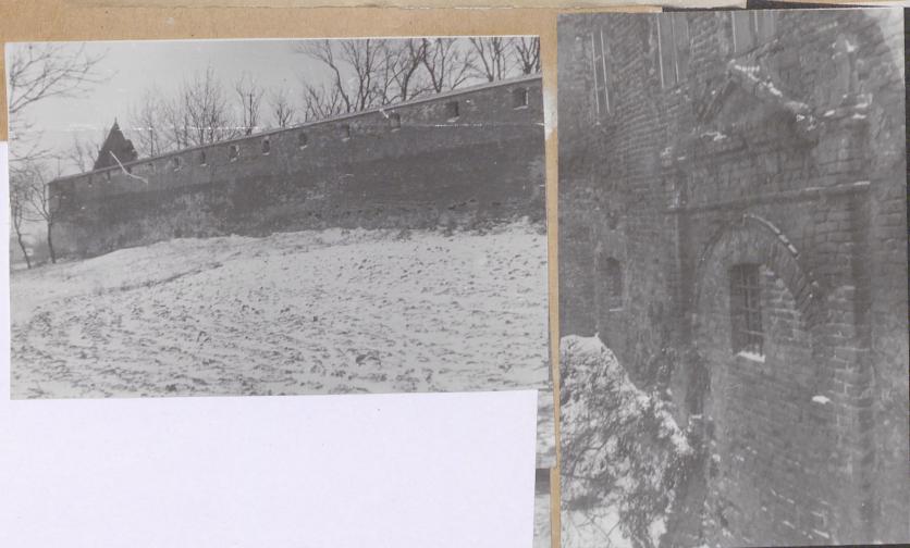 Karta zielona, skan nr 17