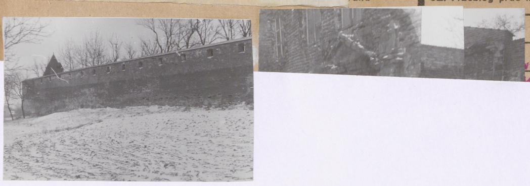 Karta zielona, skan nr 19